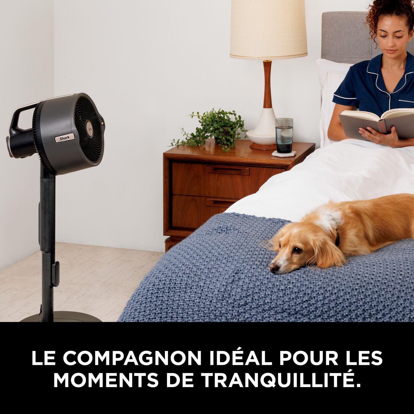 Shark FlexBreeze Pro Mist Ventilateur intérieur/extérieur sans fil + Cadeau 🎁