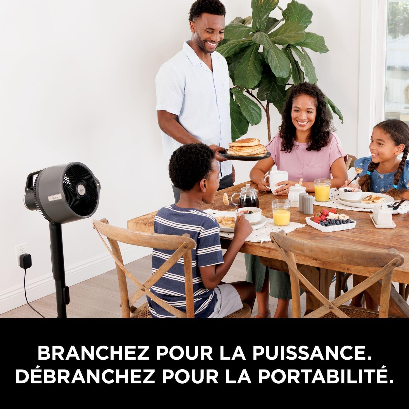Shark FlexBreeze Pro Mist Ventilateur intérieur/extérieur sans fil + Cadeau 🎁