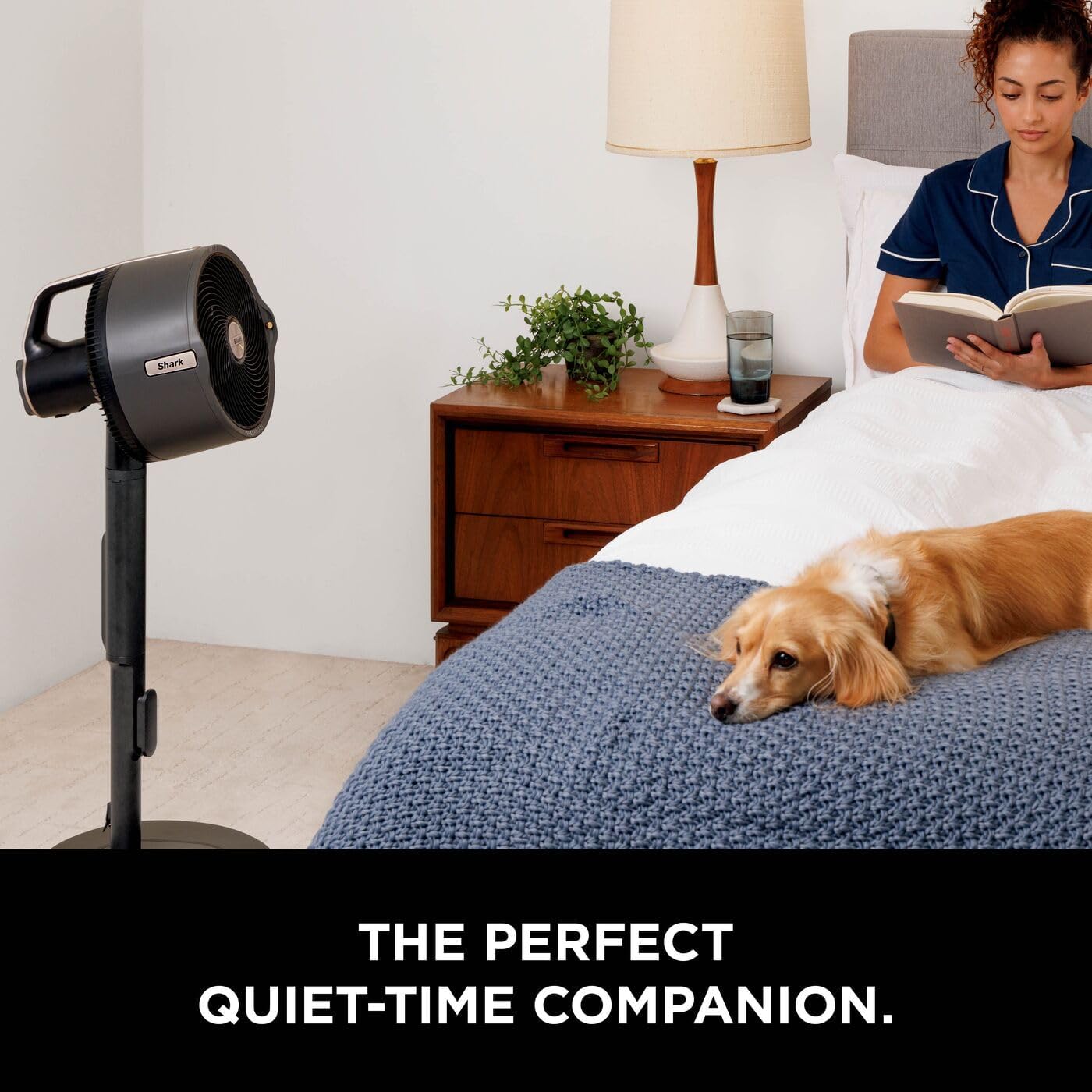 Shark FlexBreeze Pro Mist Cordless Indoor & Outdoor + Gift 🎁